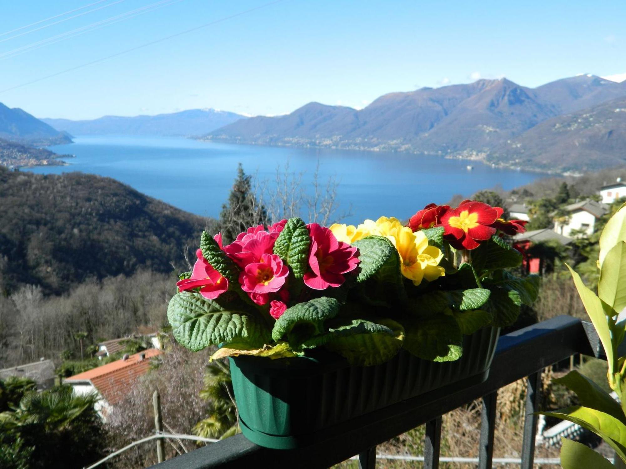 Lago Maggiore Holiday House, Lake View, Vignone Dumenza Dış mekan fotoğraf